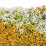 Floral Artificial Yellow Wall Panels-P257B (3)