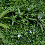 Low-Maintenance Artificial Grass Wall Panels-PQ-100 (3)