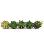 Small Artificial Potted Succulent-2