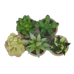 Small Artificial Potted Succulent-3