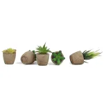 Small Artificial Potted Succulent-5