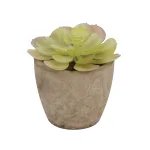Small Artificial Potted Succulent-7