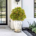 Fake Outdoor Plant for Front Door Decor