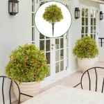 Fake Outdoor Plant for Front Door Decor