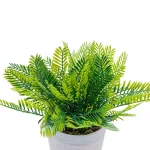 Faux green fern plant with pot