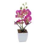 small purple phalaenopsis potted plant