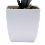 small purple phalaenopsis potted plant