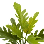 wholesale simulation green fern plant potted